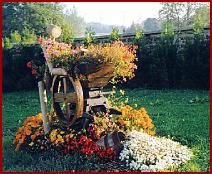 fleure de renwez 