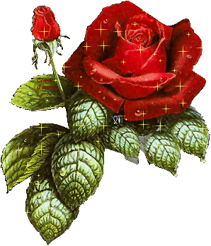 rose rouge