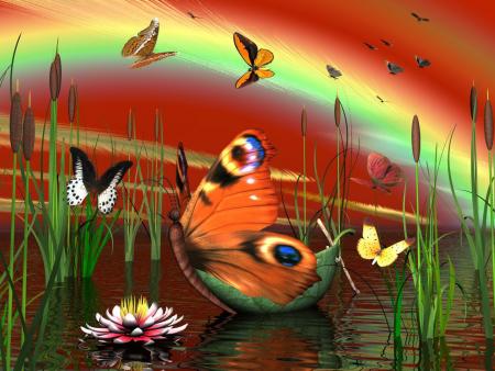 papillon