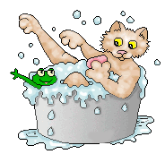 le chat qui se lave et la grenouille