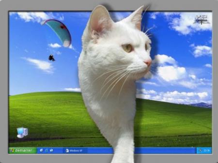 chat