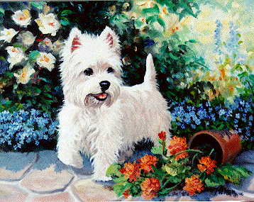 chien blanc