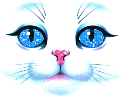 le chat  blanc